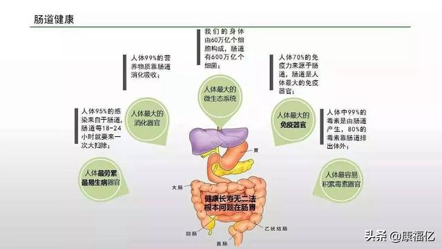 什么是菊粉，康福亿健康小知识：菊粉是什么