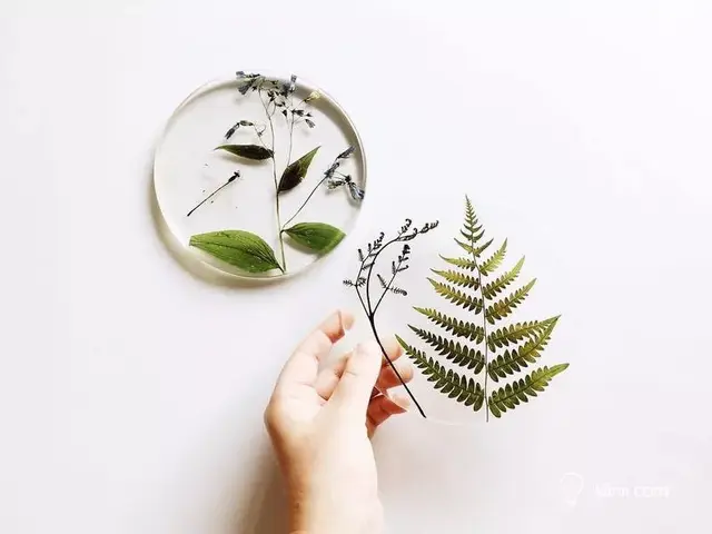 滴胶怎么做，鲜花滴胶怎么做（水晶滴胶的神奇封印术）