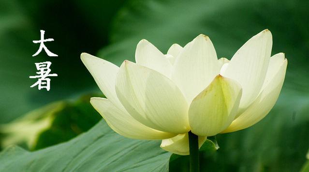 大暑养生应该注意些什么 大暑5大养生保健须知要点，大暑养生应该注意些什么（节气养生从这四个方面入手）