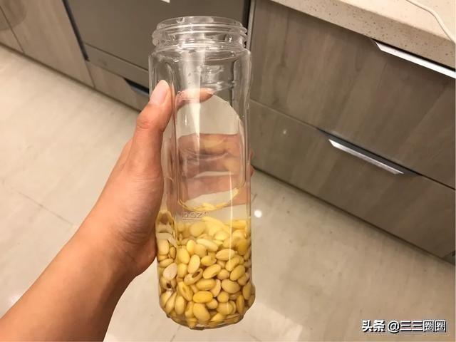 白醋点豆腐的方法，封城后再没吃过豆腐的还有谁