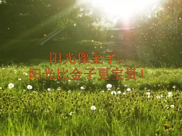 纯洁的反义词，轻盈光滑高傲纯洁的反义词（部编版一年级下册《语文园地二》+和大人一起读《阳光》知识点）