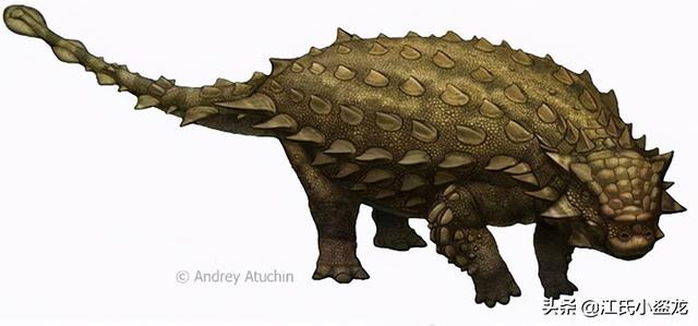 re网名的含义，Re微信昵称（2020古生物学家到底命名了多少种恐龙）