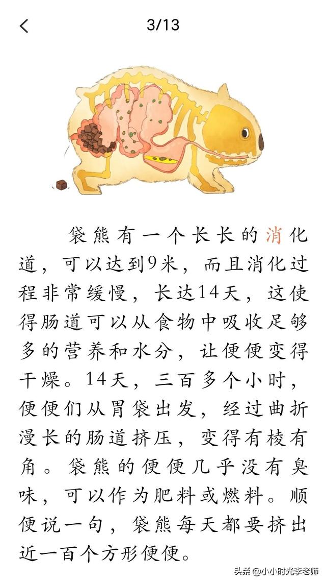 各种各样的动物，所有的常见动物名称（自然的故事-动物在说话《各式各样的便便》）