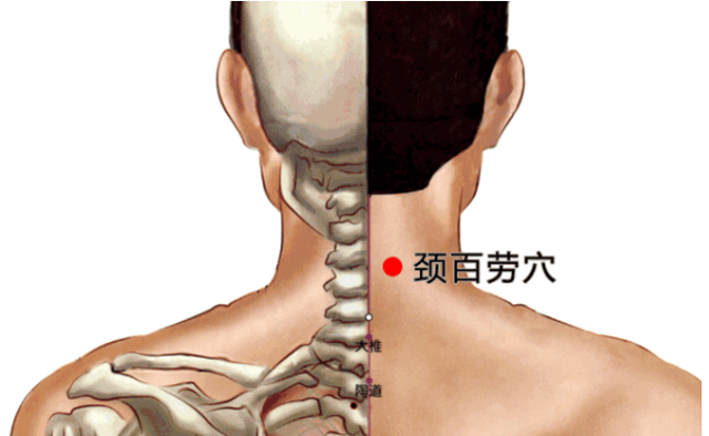 鱼腰的准确位置和作用，个个都是穴位学中的高手
