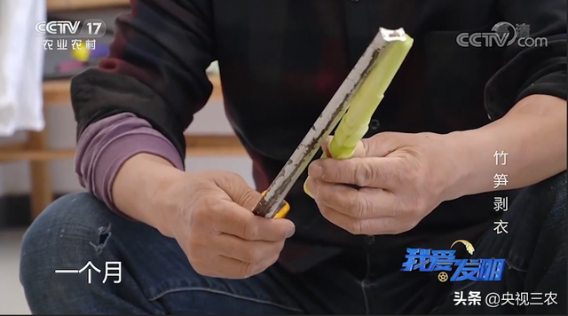 竹笋怎么剥皮，新鲜竹笋怎么剥皮详细图解（有了“王万能”发明的神器）