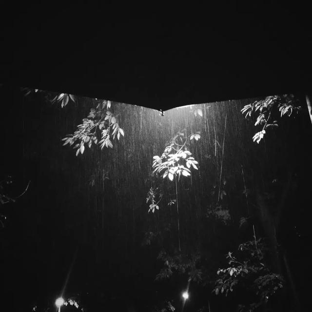 窗前听雨意境，在静怡的时光里听雨