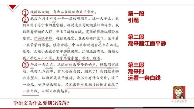 段落在文章中的作用有哪几种，文章中某一段的作用（学语文为什么要划分段落）
