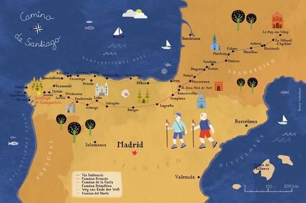 带子和扇贝的区别，带子和扇贝有什么区别（可你知道它前世今生的冷知识吗）