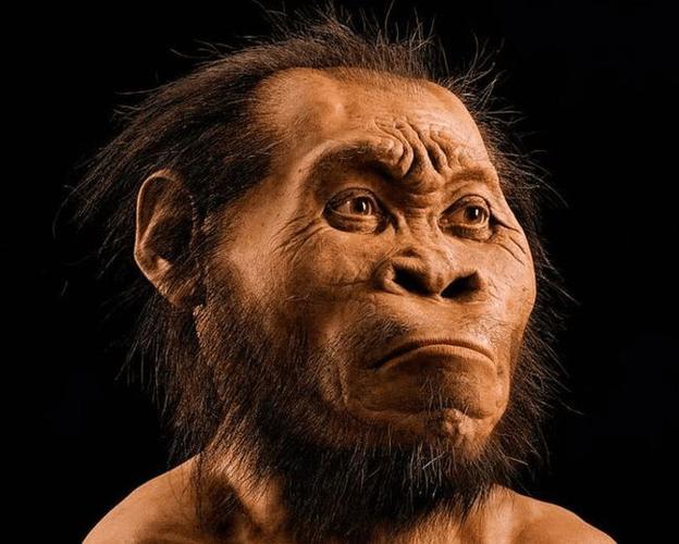 凡是猿猴都是人类的祖先吗?