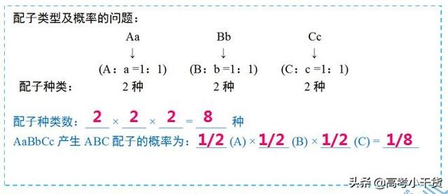 什么是基因的遗传信息，什么是基因的遗传信息传递（<基因、遗传篇>建议收藏）