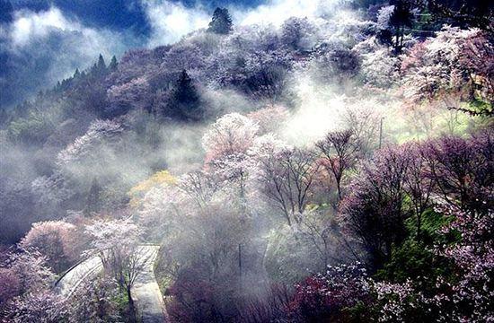 梵净山旅游攻略梵净山自助游攻略，梵净山几月份去最好（免费的自驾游攻略）
