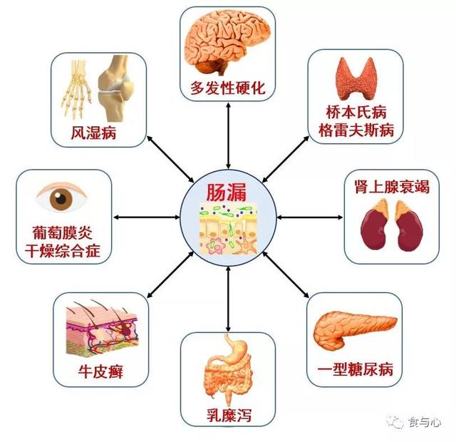 sfb是什么意思，sfnb是什么意思（你必须知道的热知识<二>）