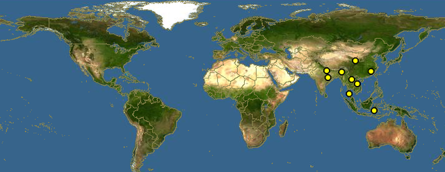 虎生三子必有一彪，虎生三子必有一彪是什么意思（人云“虎生三子必有一彪”）