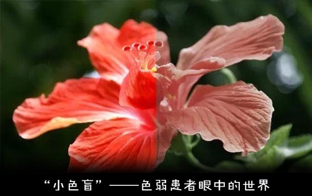 悖论是什么意思，祖父悖论是什么意思（如何解释才能不留BUG）