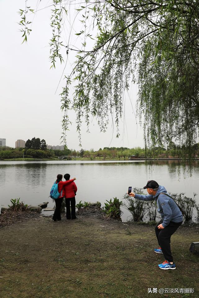 最简单能令人放松心情的图片 偶尔防空一下自己，让人心情放松的图片（醉倒在那片春色里）
