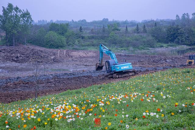 蜀山的具体位置在哪啊，蜀山位于哪里（徜徉在春色染透的田园风光里）