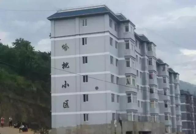 海贼王情侣头像，海贼王情头微信（盘点年度沙雕大集锦）