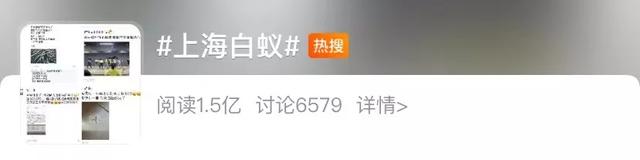 白蚁是什么，白蚁是什么样的图片（钻头发、钻衣服、拆你的家…别私自处理）