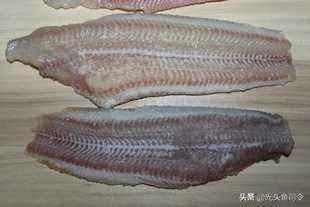 本地塘鲺鱼养殖，塘鲺鱼苗如何养殖（埃及塘虱鱼经历了什么）