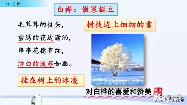 悠扬的近义词，“悠扬”的近义词是什么（四年级下册语文第11课《白桦》图文详解及同步练习）