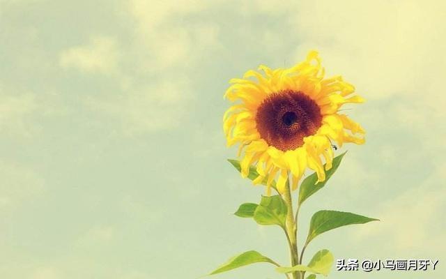 迨怎么读什么意思，谁能告诉我这些字怎么读?