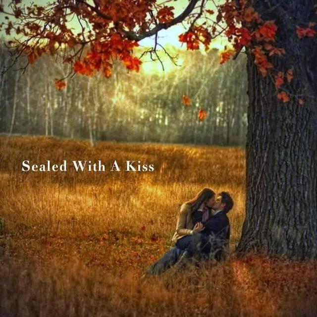 欧美十大经典歌曲，欧美十大顶级经典名曲（我心目中的十大英文经典歌曲）