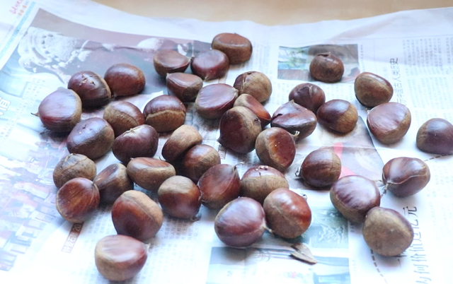 生板栗怎么保存，生板栗怎么保存不坏（保存板栗方法这么简单）