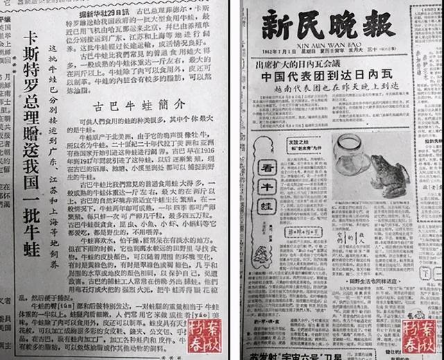 牛蛙和田鸡是一样的吗，田鸡和牛蛙一样吗（牛蛙中国餐桌史）