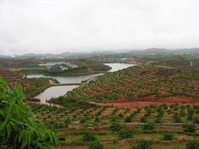 田野豆腐是怎样做成的，车田豆腐家常做法（信丰人的日子忒爽了）