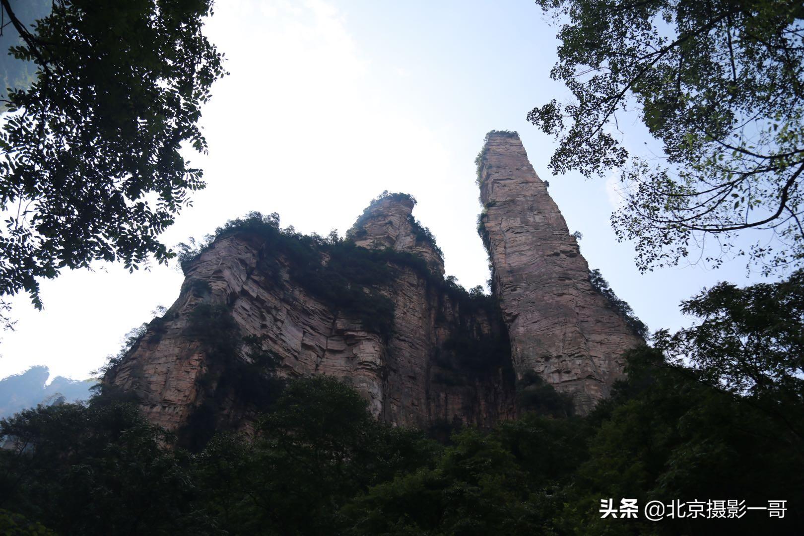 富兰特（一哥亲子游之张家界森林公园和天门山自由行三日游）