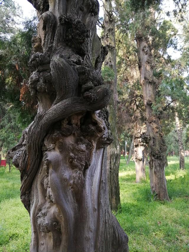 东汉天降陨石，刘秀坟的传说