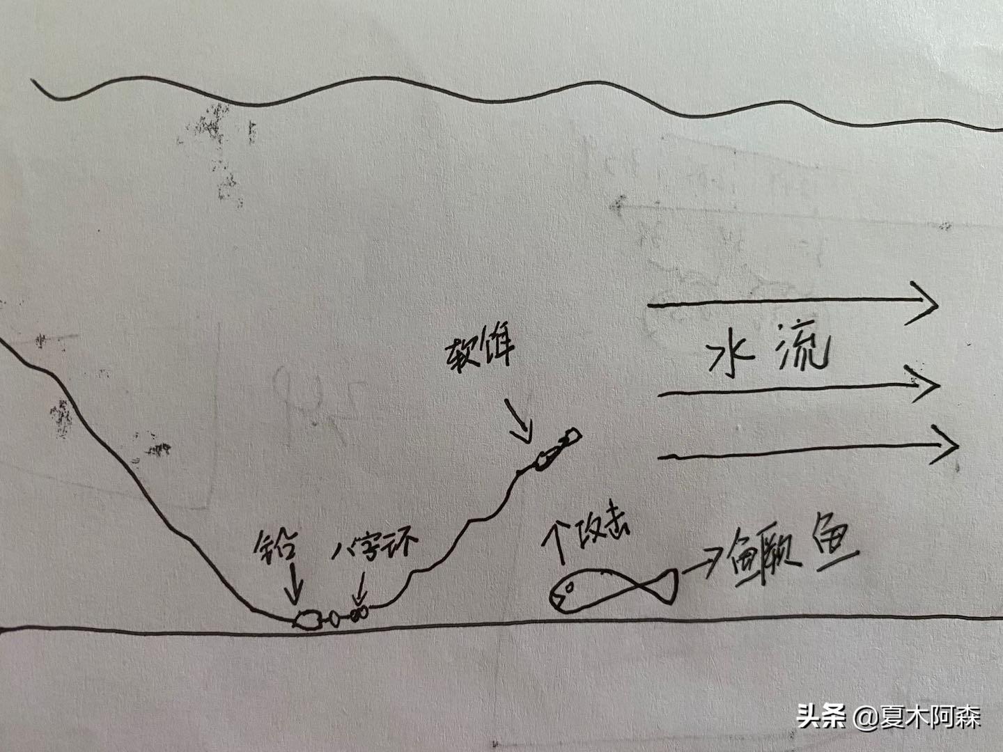 手竿钓鳜鱼的线组搭配图片