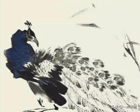 画孔雀的简笔画，如何画孔雀简笔画（国画教程——孔雀画法）