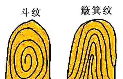 九斗一簸箕有什么说法，九个斗1个簸箕代表什么（农村有句话“九斗一簸箕）