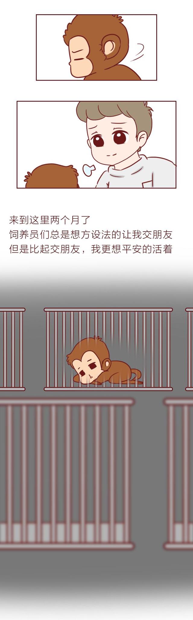 温馨的小故事，温馨的小故事哄男朋友（4个生活中暖心的故事）