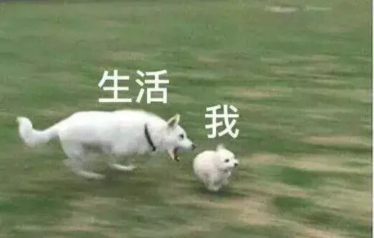 sad是什么意思英语，sad什么意思（那你的英语老师就该很难过了…）