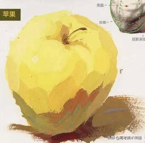 色彩中静物调色怎么调，色彩静物变调（教你理解快速掌握色彩静物）