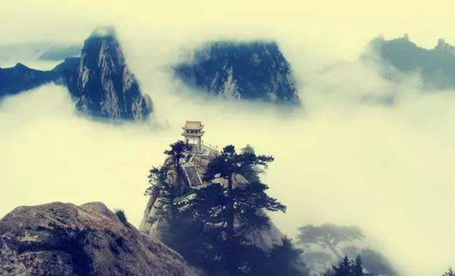 我本楚狂人全诗欣赏，我本楚狂人小说简介（却仍有古代名家称后几句没水平）