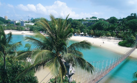 新加坡旅游多少钱(如何移民新加坡)