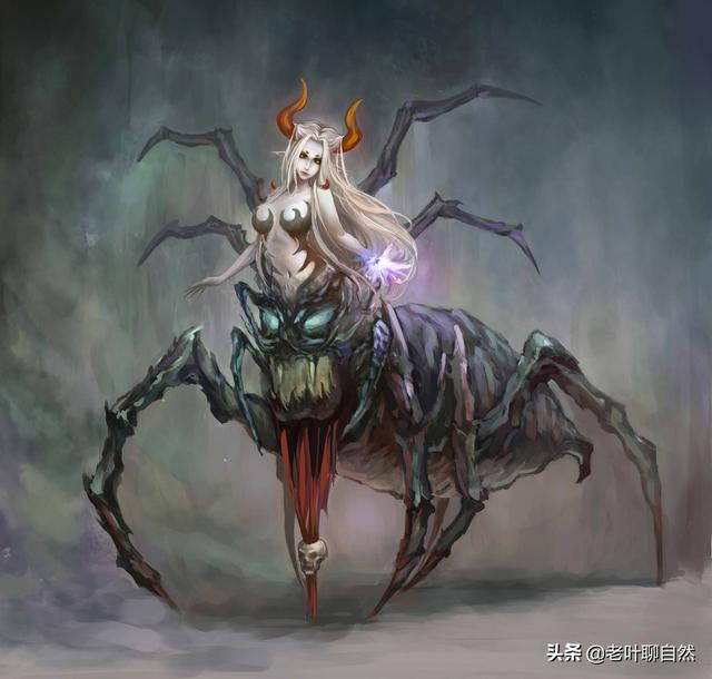 人脸蜘蛛,人面蜘蛛:雌性比雄性大10倍(人脸蜘蛛绿色)