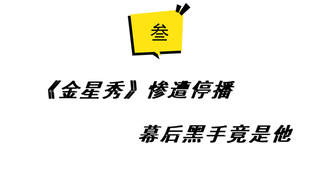 金星秀为什么停播原因，金星秀被停播原因（《金星秀》停播真相大白）