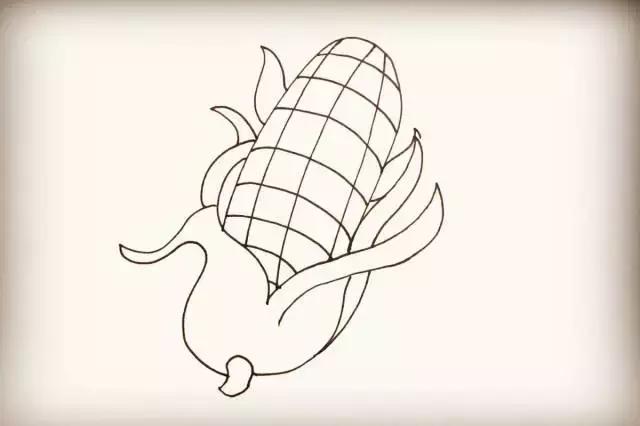 玉米简笔画图片，几株玉米的简笔画怎么画（可爱的玉米简笔画画法图解）