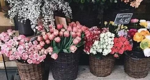 时光倒流的女孩,加·泽文时光倒流的女孩读后感6篇(《时光倒流的女孩》) 时光倒流的女孩,加·泽文时光倒流的女孩读后感6篇(《时光倒流的女孩》)