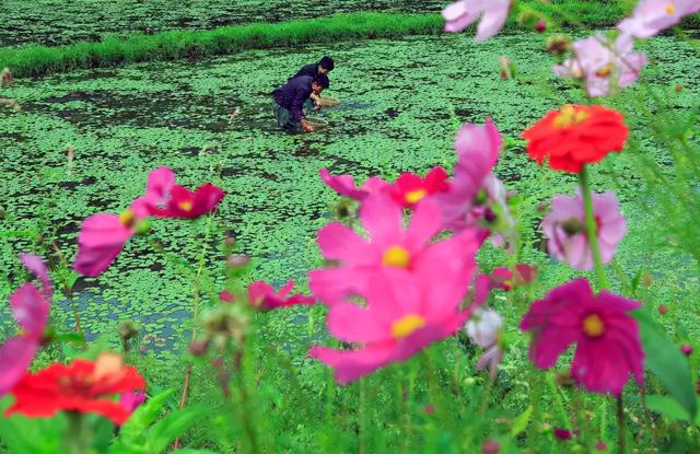 石柱黄水森林公园，石柱黄水森林公园介绍（您的休闲度假、康养胜地）