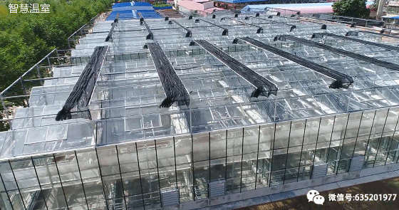 遮阳网6针12针有什么区别，遮阳网四针六针区别（温室大棚遮阳网的那些事儿）