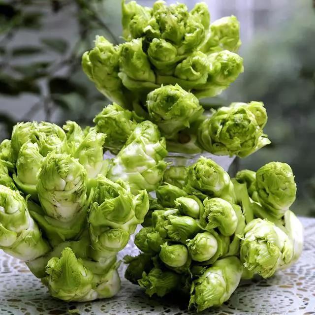 儿菜的功效与作用，儿菜有什么样的功效与作用（炒、烩、炸、涮、凉拌样样行）