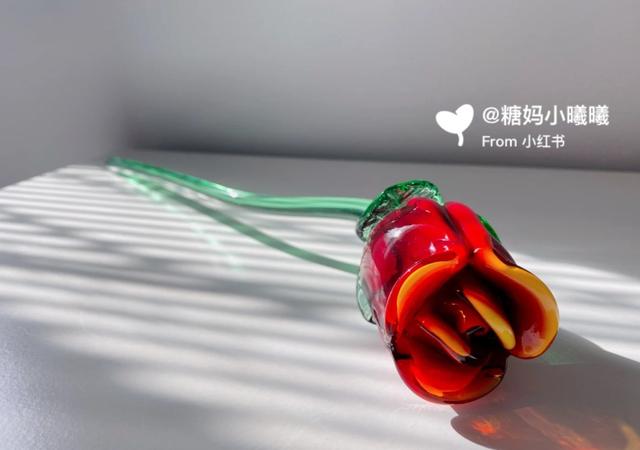 香皂花是什么材质做的，肥皂花是什么材料的（最适合懒人养的花）