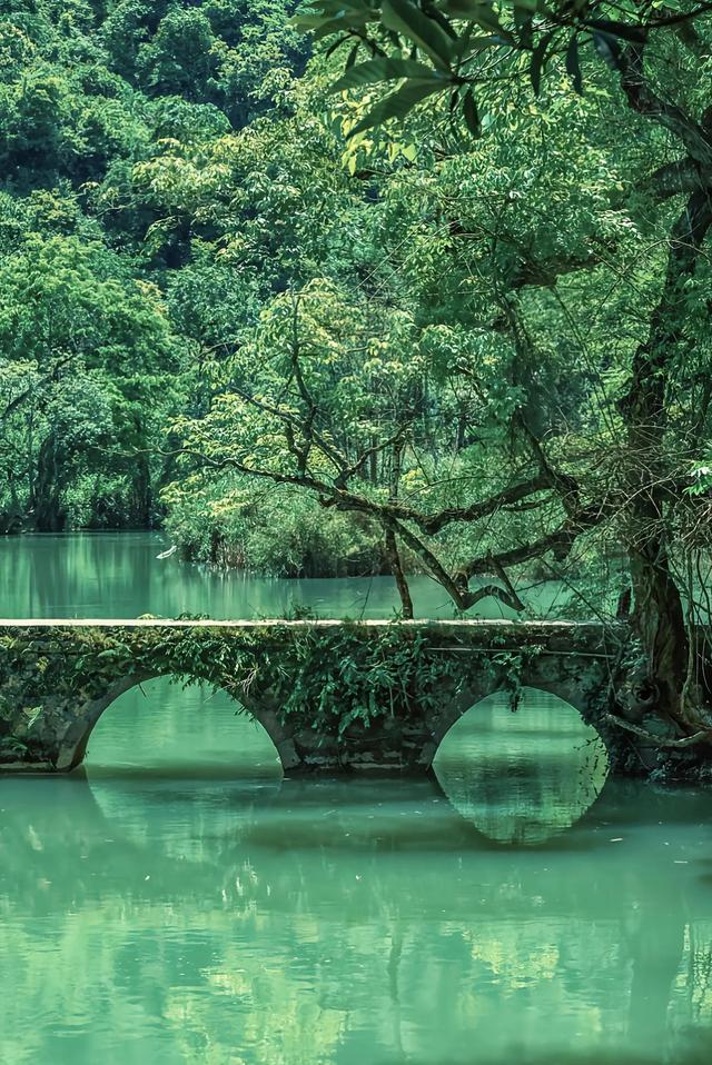贵州必去十大景点，贵州旅游必去十大景点推荐（贵州旅行可去的十大景点）
