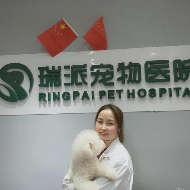 哈尔滨宠物医院，十大哈尔滨宠物医院排名（瑞派宠物医院告诉你最牛医院的正确打开方式）