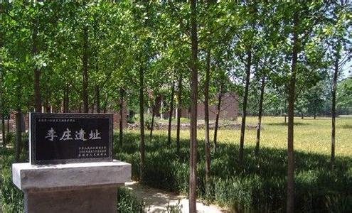 商丘旅游景点哪个好玩，商丘十大网红打卡地（河南商丘这14个地方）